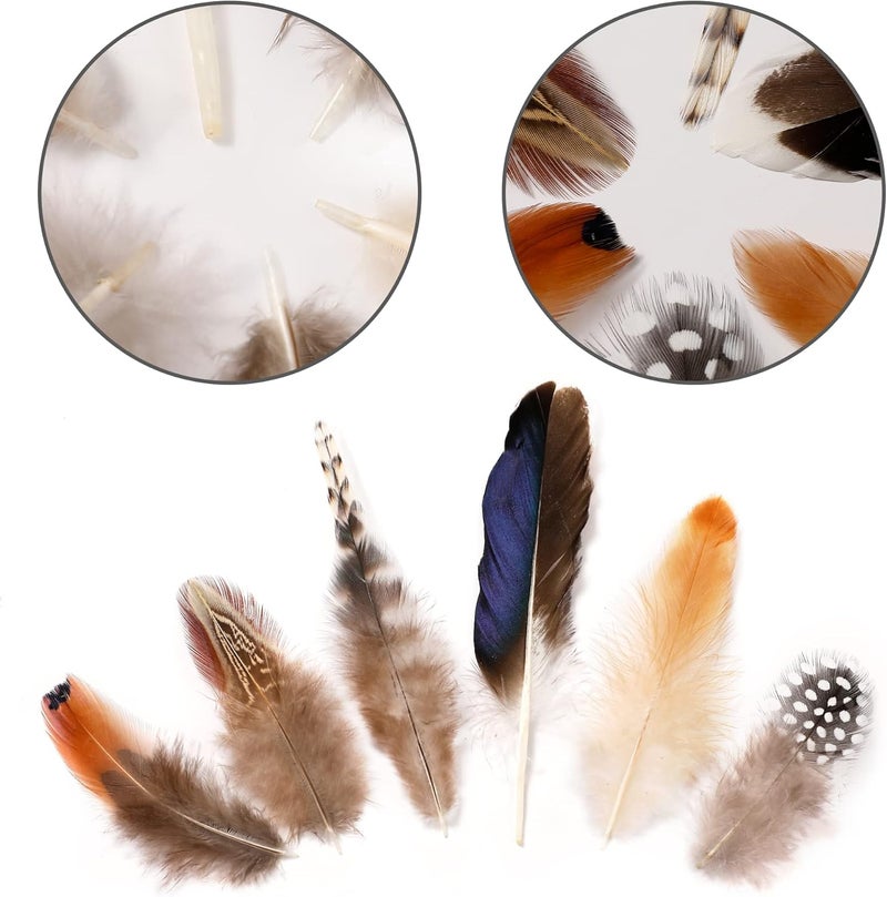 Larryhot Natural Pheasant Craft Feathers - 240 pcs 6 Style Mixed Feathers for Dream Catcher Supplies,Jewelry,Hats and Jewelry Accessories (Natural) - Image 3